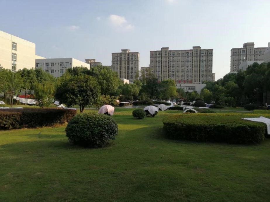 伟德(bevictor)官方网站