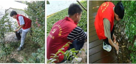 伟德(bevictor)官方网站