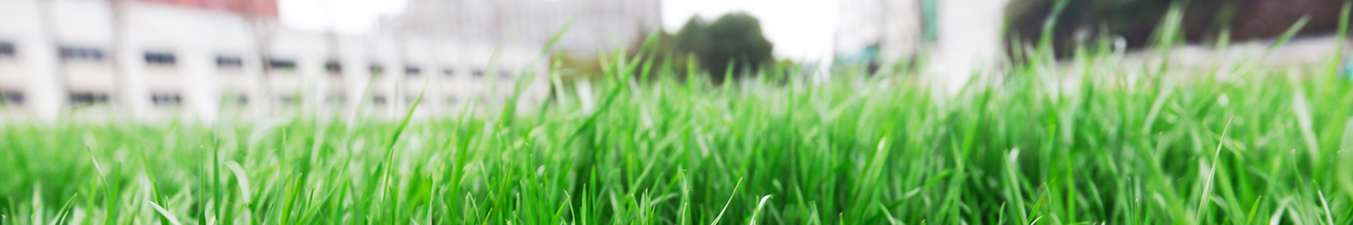 伟德(bevictor)官方网站